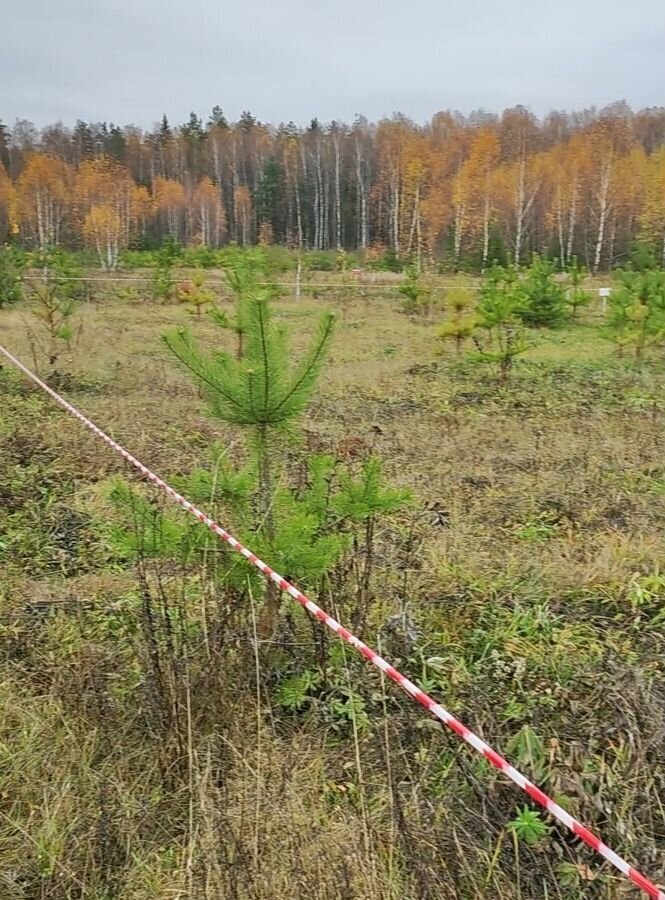 земля р-н Ковровский п Доброград ул Благодатная 11 муниципальное образование Доброград, Мелехово фото 21