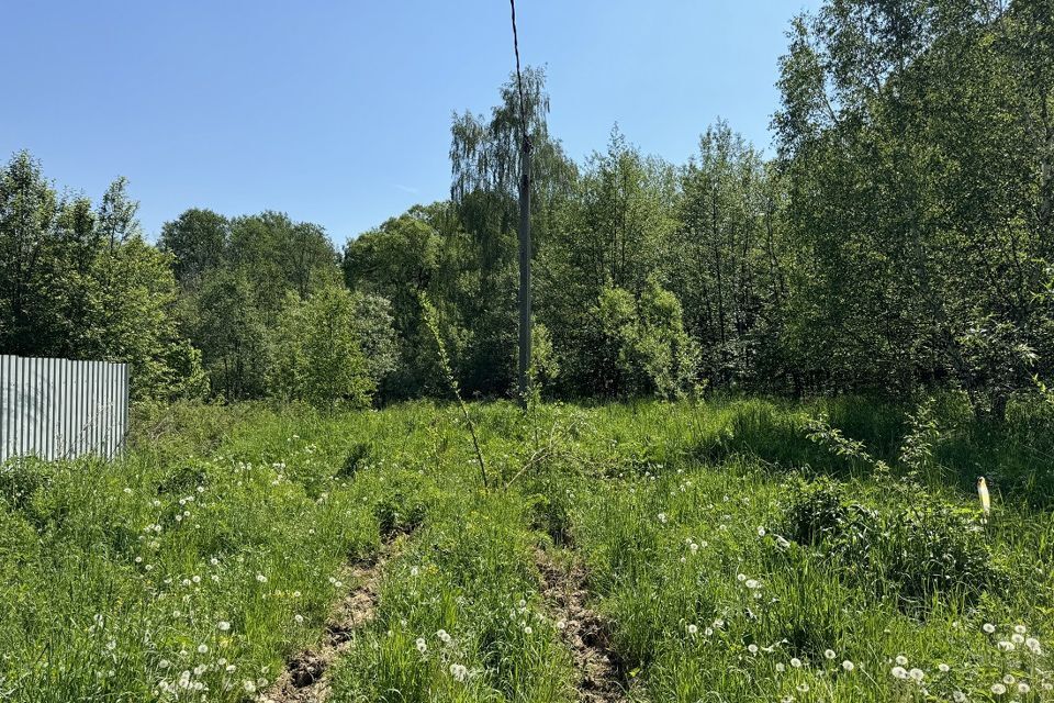 земля городской округ Чехов д Новгородово 70/1 фото 3