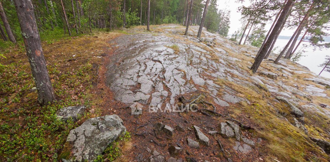 дом р-н Прионежский Шуйское с/пос, Мастерок ТСН, ул. Солнечная, 91 фото 42