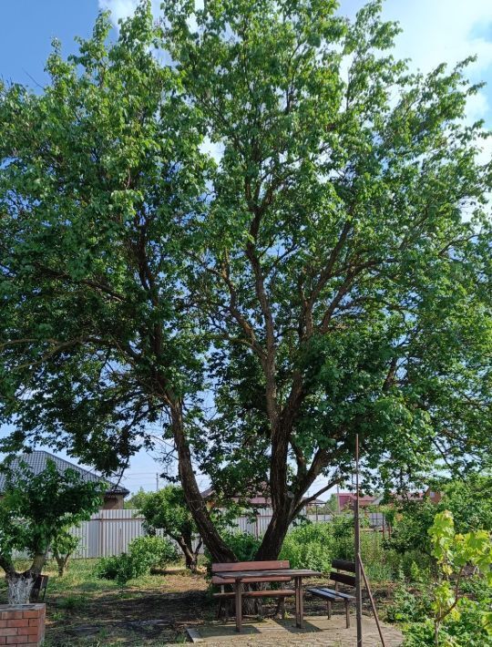 дом р-н Староминский ст-ца Староминская ул Таманская 5 фото 49