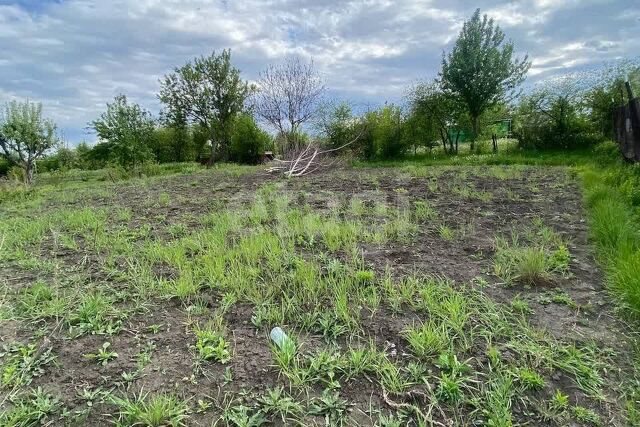 земля Губкинский городской округ фото