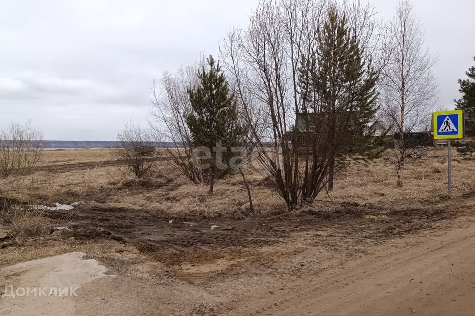 земля р-н Холмогорский деревня Бурмачевская фото 2