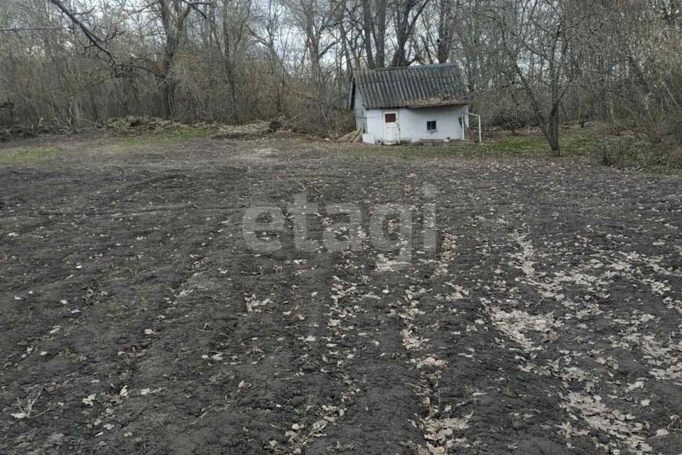 дом р-н Кочкуровский д Воробьевка ул Нагорная фото 6