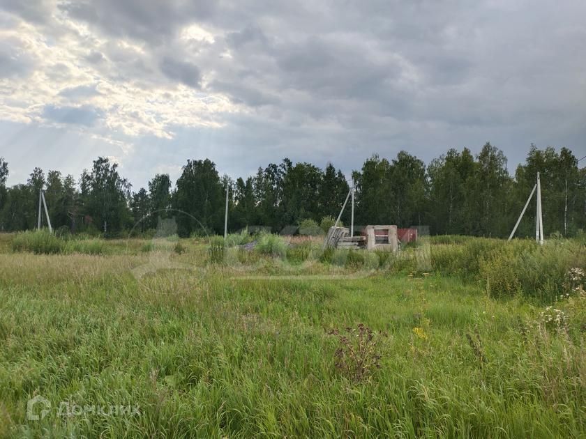 дом р-н Тюменский деревня Зубарева фото 6