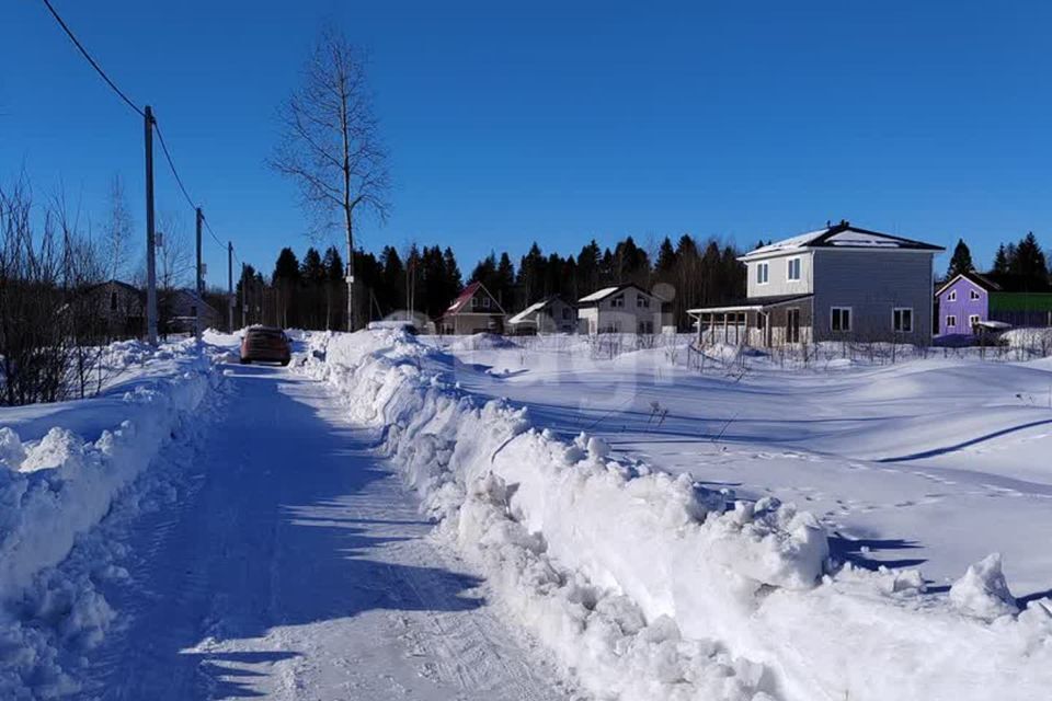 земля р-н Череповецкий деревня Борисово фото 1