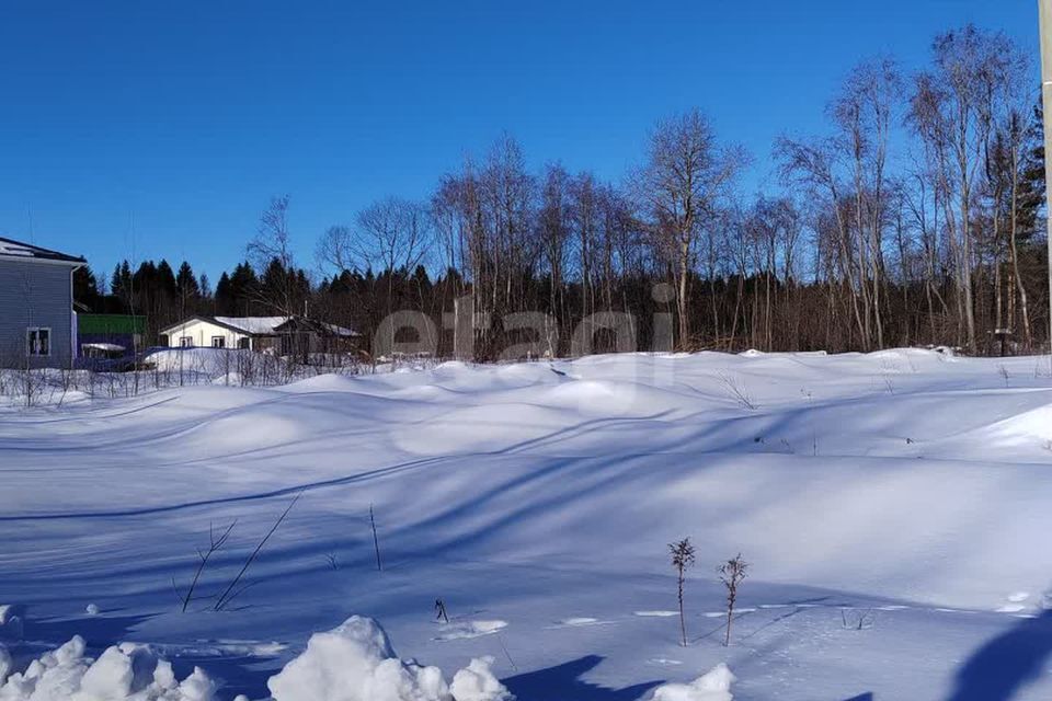 земля р-н Череповецкий деревня Борисово фото 3