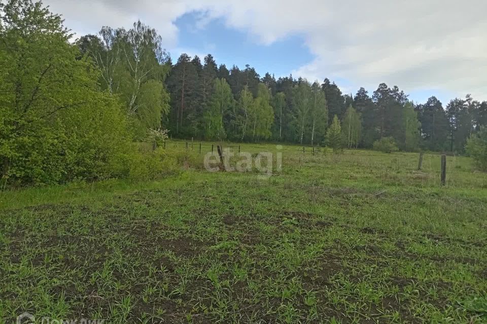 земля г Миасс п Селянкино ул Ильменская Миасский городской округ фото 4