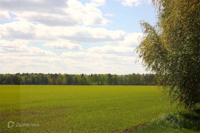 СНТ Сундукуль фото