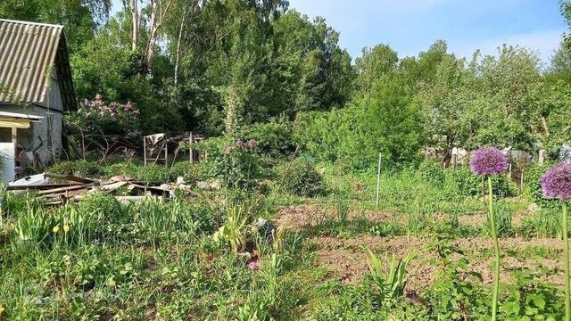 с Толмачево ул Союзная фото