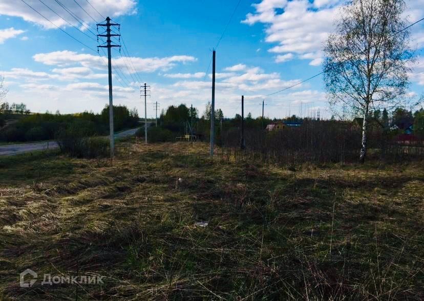 земля р-н Александровский д Лизуново ул Лесная фото 3