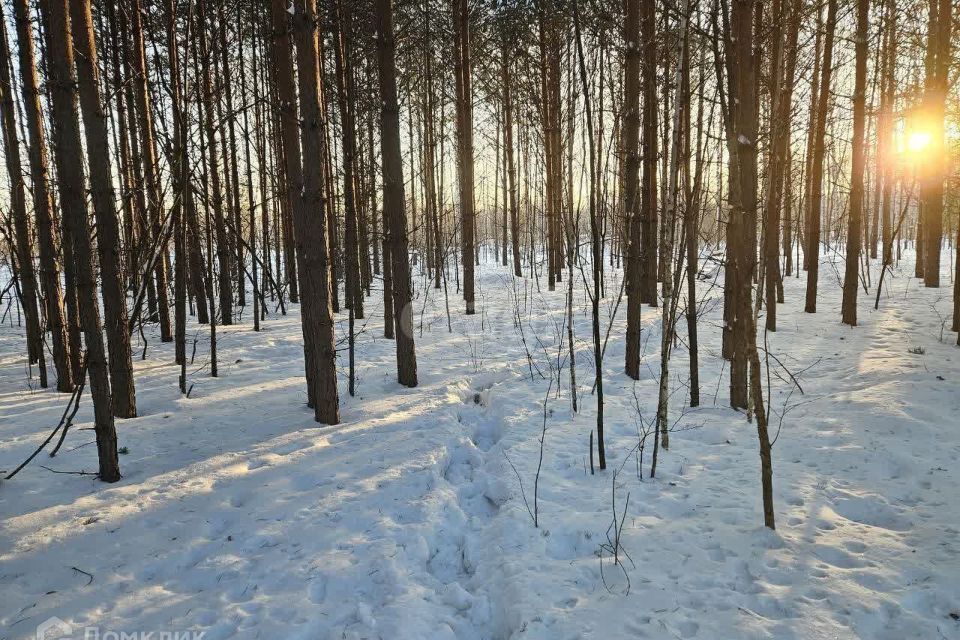 земля г Екатеринбург п Медный Екатеринбург, коттеджный посёлок Медный-2, муниципальное образование фото 2