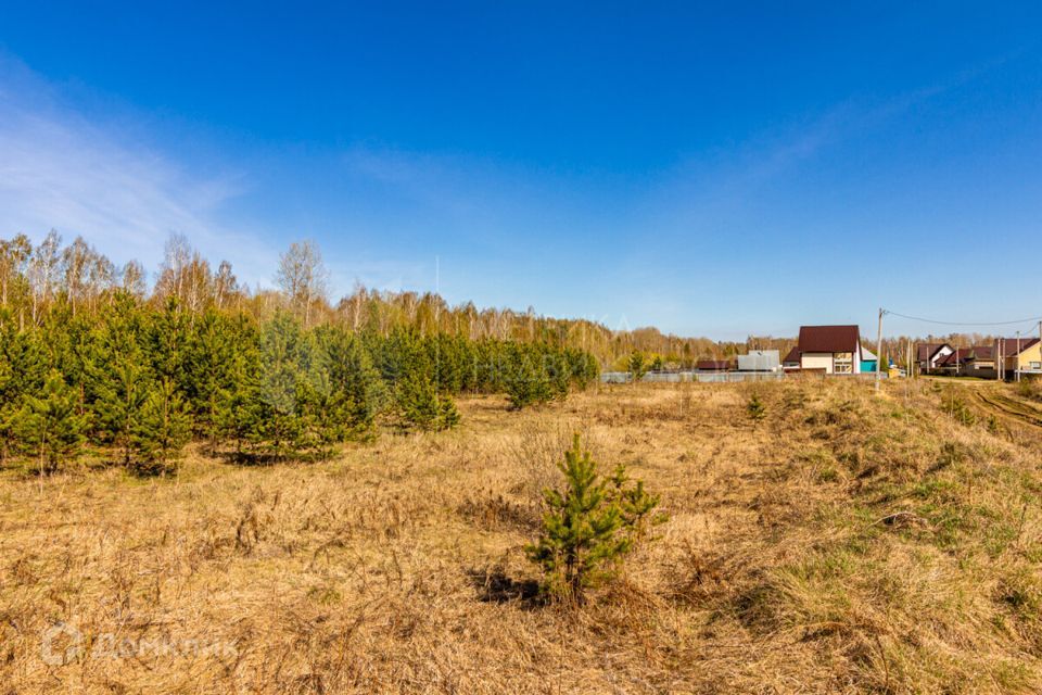 земля р-н Нижнетавдинский деревня Московка фото 7