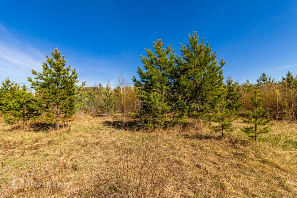 земля р-н Нижнетавдинский деревня Московка фото 6