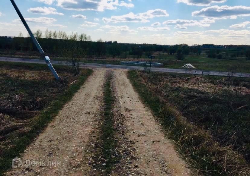 земля р-н Александровский д Лизуново ул Лесная фото 9