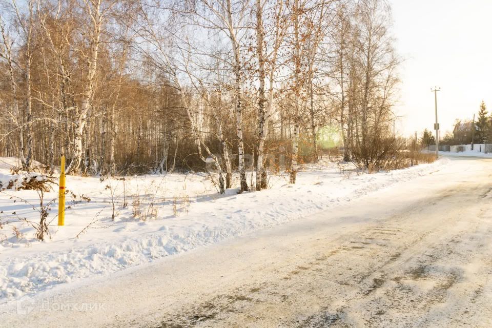 земля р-н Сосновский Солнечное сельское поселение фото 6