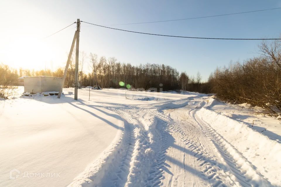 земля р-н Сосновский Солнечное сельское поселение фото 7