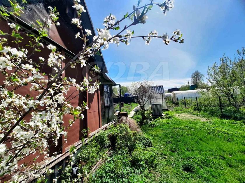 дом р-н Нижнетавдинский снт Водник ул Рябиновая фото 6