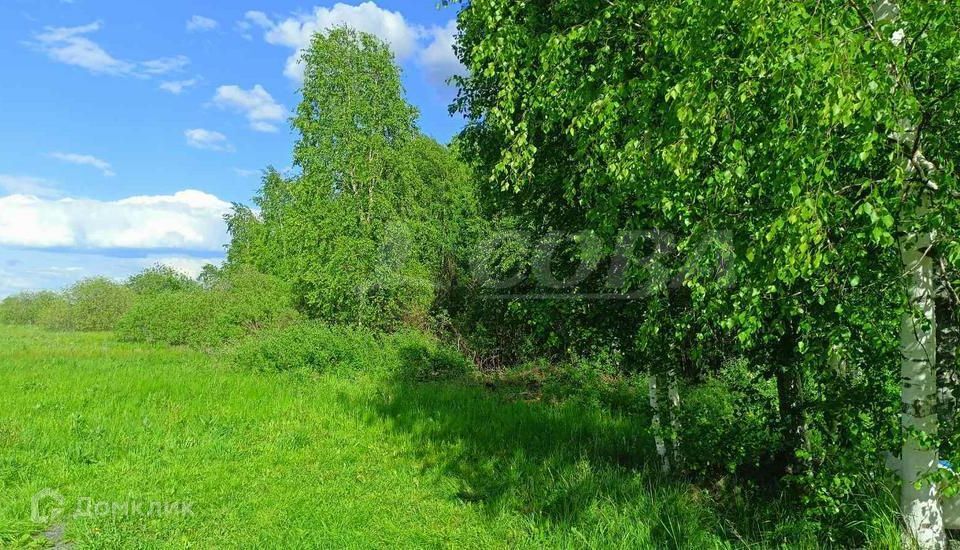 дом городской округ Тюмень, СНТ Чайка фото 6