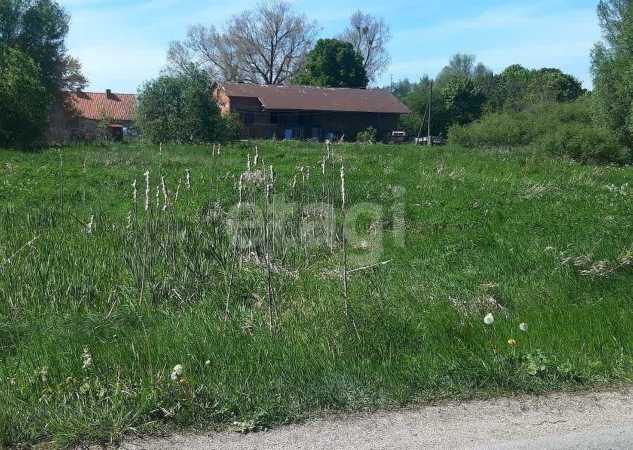 земля р-н Гурьевский посёлок Некрасово фото 1