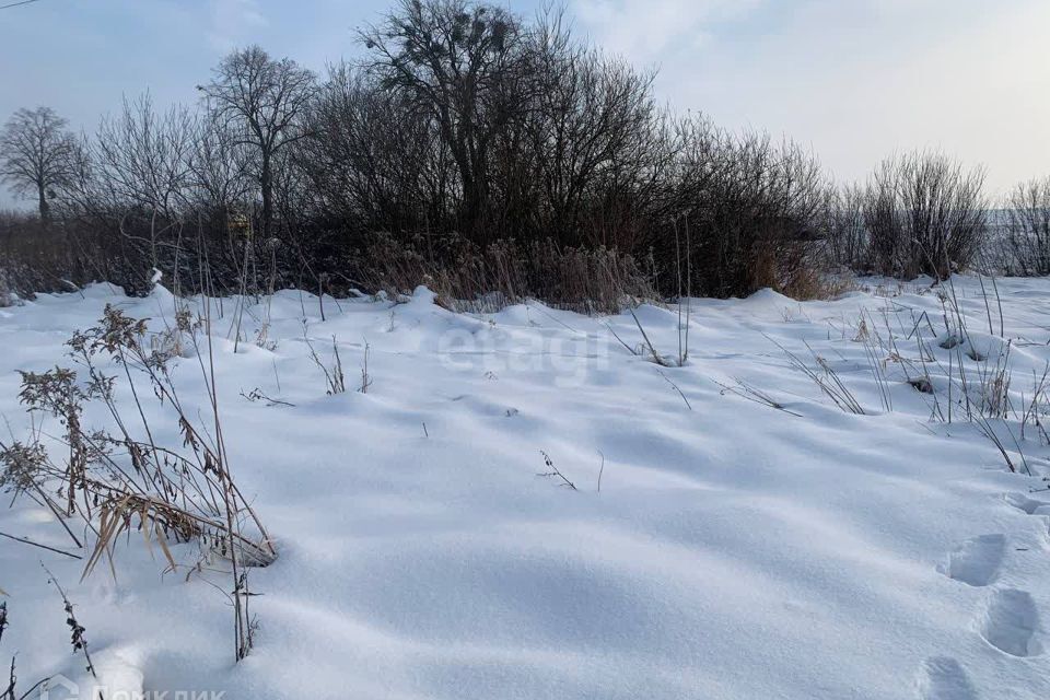 земля г Калининград городской округ Калининград, СНТ Ромашка фото 1