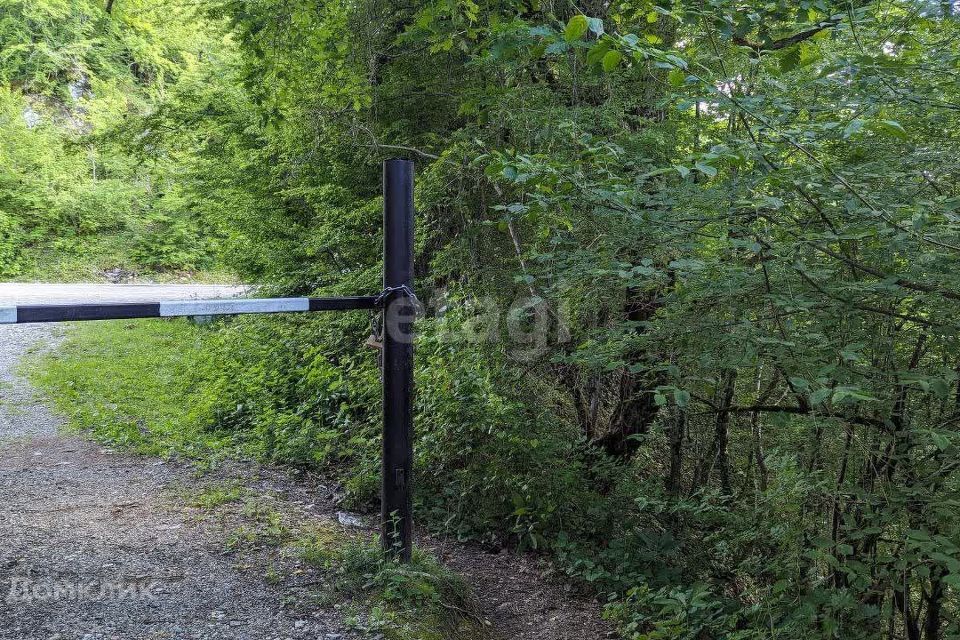 земля городской округ Сочи, Лазаревский район фото 6