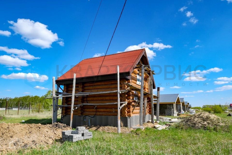 дом р-н Омский с Дружино Александровская улица фото 3