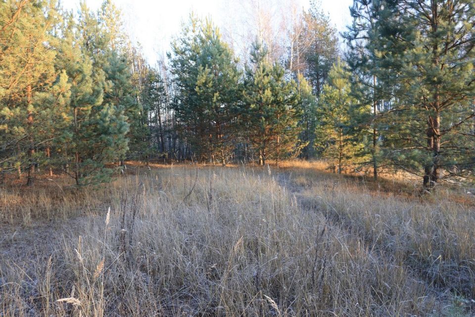 земля р-н Дзержинский деревня Лужное фото 4