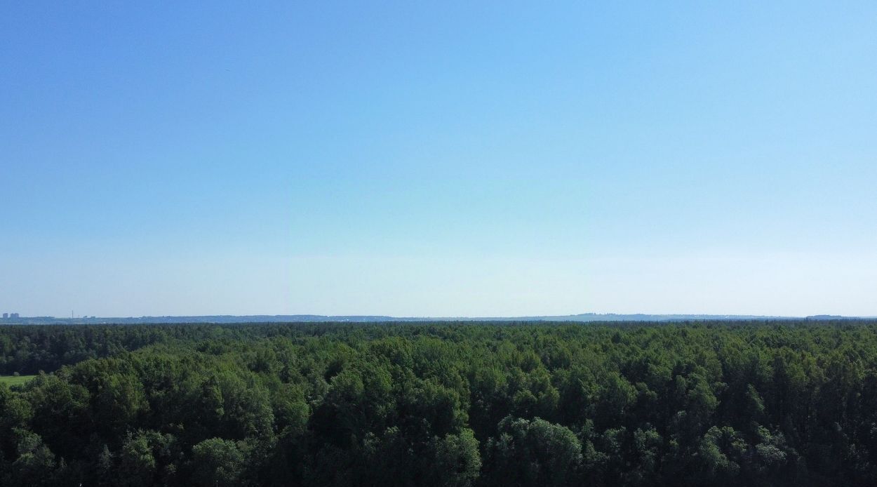 квартира р-н Ломоносовский п Аннино Новоселье городской поселок, Проспект Ветеранов, ул. Большая Балтийская, 10к 1 фото 4