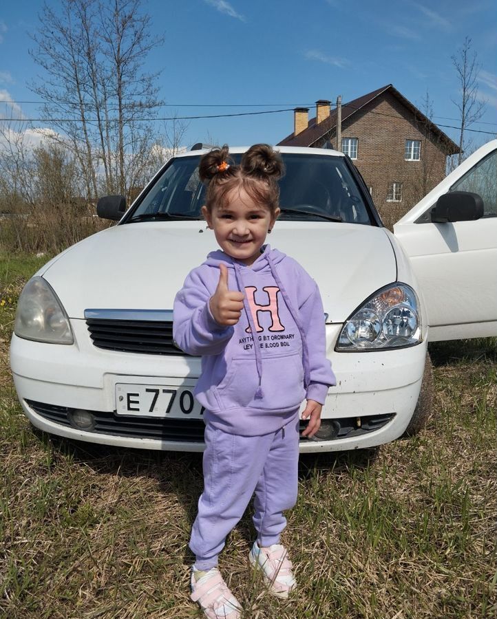 земля р-н Новгородский д Плетниха ул Чапаева Ермолинское сельское поселение, Панковка фото 12