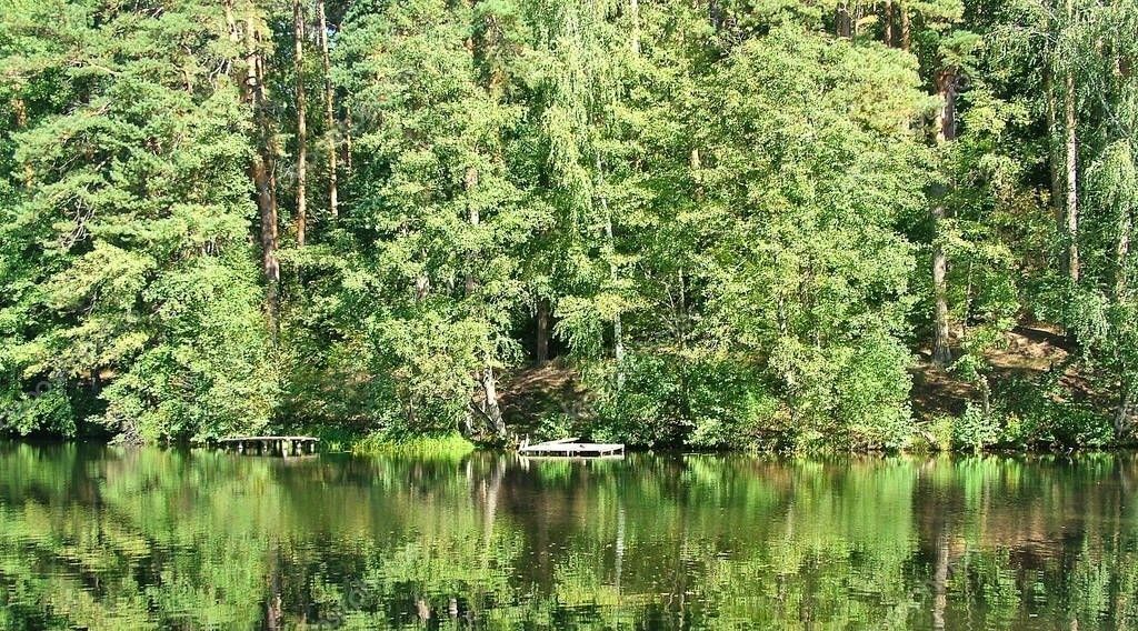 дом р-н Тамбовский с Тулиновка ул Счастливая 1 фото 19