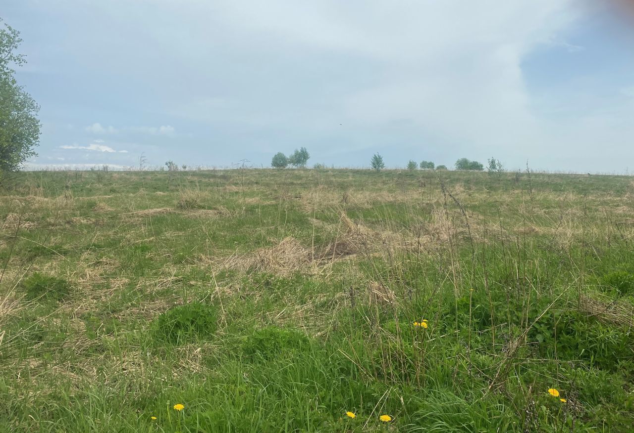 земля р-н Смоленский д Богородицкое Козинское сельское поселение, Смоленск фото 1