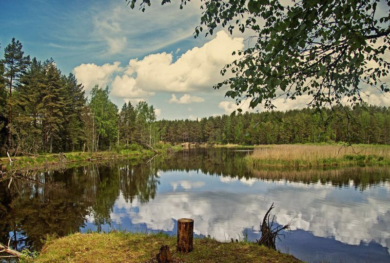 земля р-н Селижаровский д Никулино Селижарово фото 1