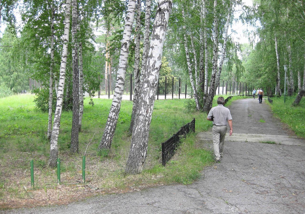 общепит, отдых р-н Чебаркульский Непряхинское сельское поселение, Чебаркуль фото 5