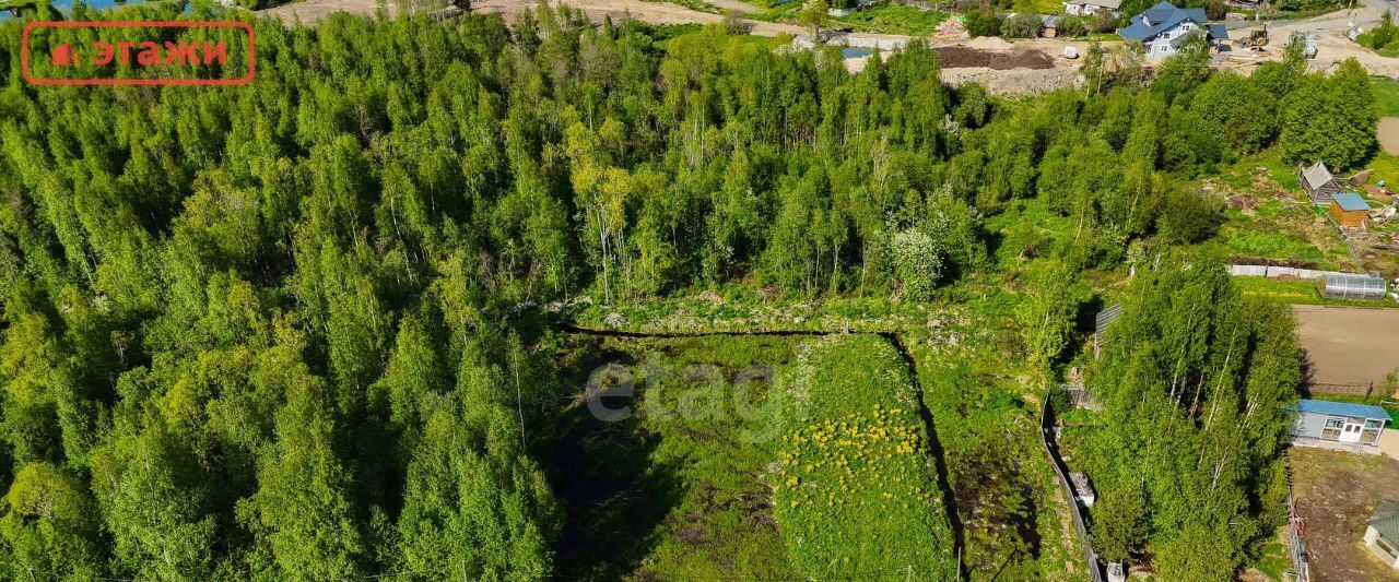 земля р-н Прионежский с Заозерье фото 7