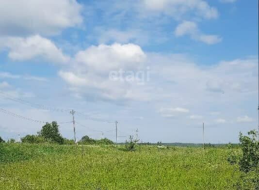 земля р-н Шимский д Голино Шимское городское поселение фото 1