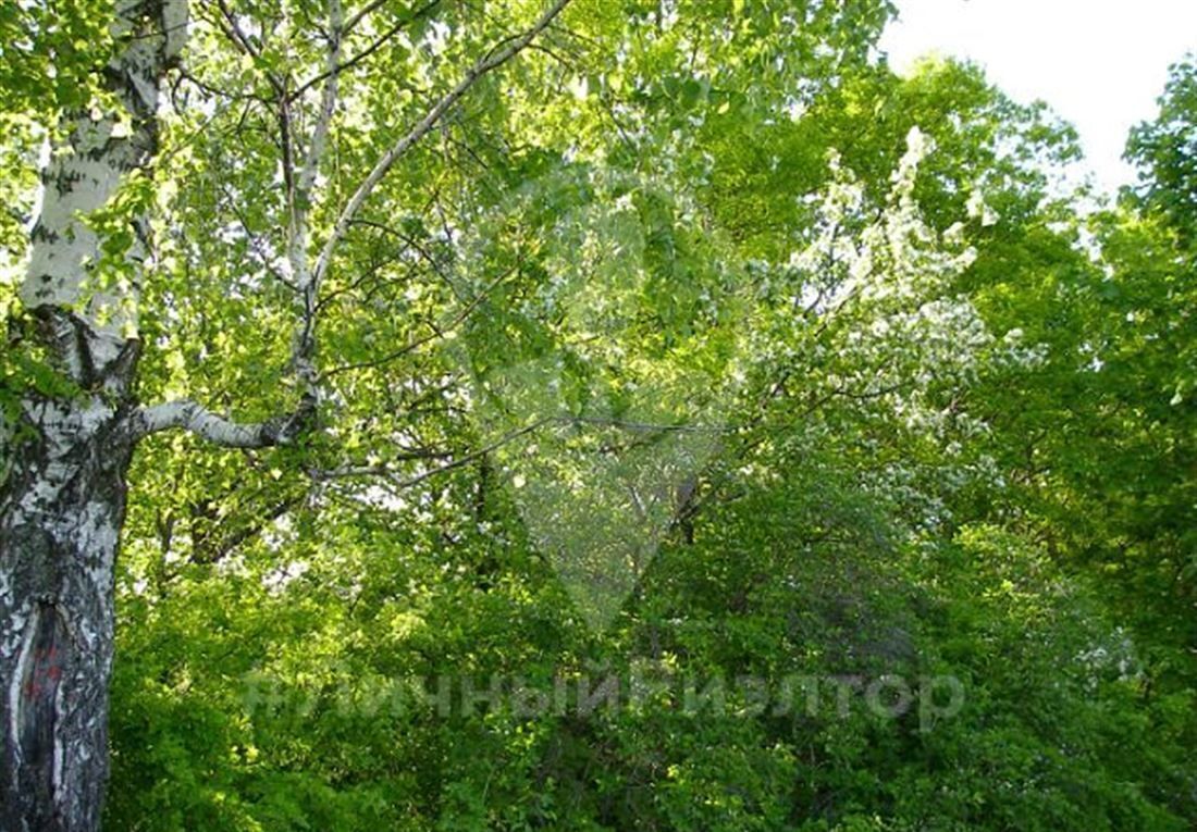 земля р-н Спасский г Спасск-Рязанский Перкинское сельское поселение, садоводческое товарищество Былина фото 4