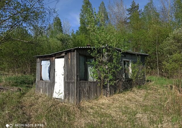 снт ЧМХС Ирдоматское сельское поселение, Череповецкий р-н фото