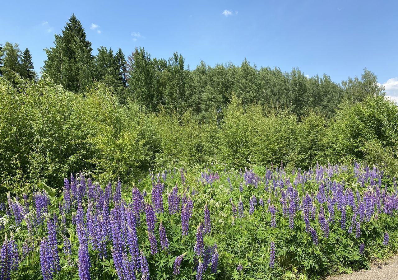 земля городской округ Клин г Высоковск 69 км, коттеджный пос. Причал, Овражный пр, г. о. Клин, Ленинградское шоссе фото 10