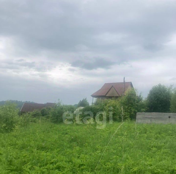 земля г Горно-Алтайск ул Виноградная фото 2