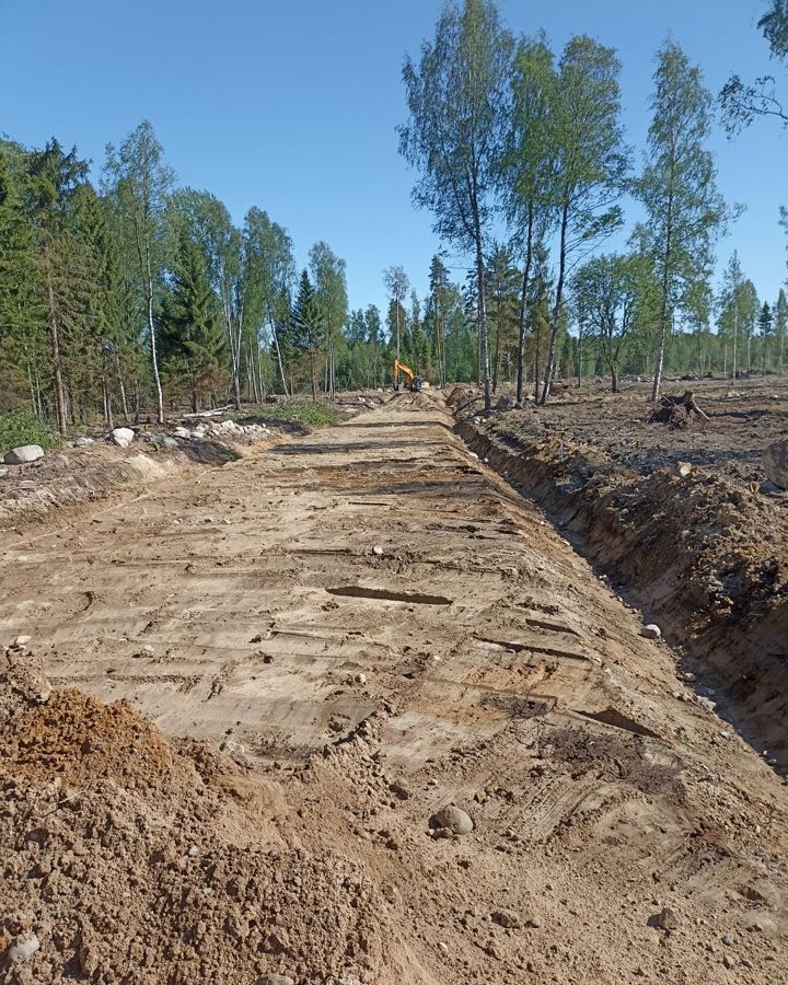 земля р-н Приозерский п Саперное Ромашкинское сельское поселение, садовое некоммерческое товарищество Ромашкинские усадьбы, ул. Зинаиды Гиппиус фото 6