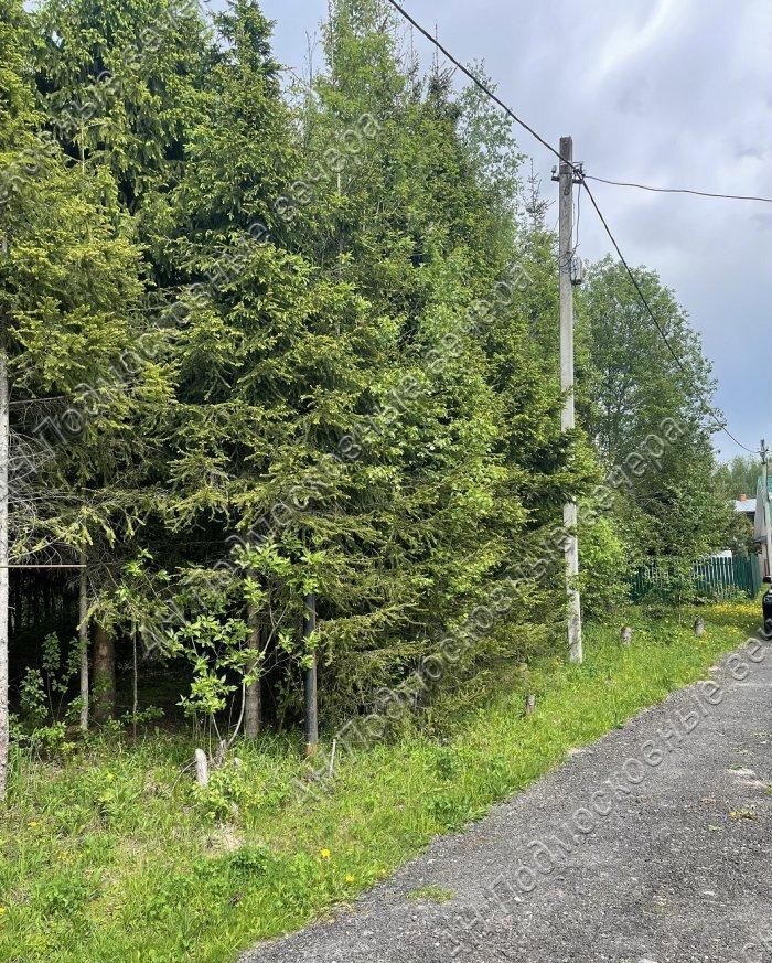 земля городской округ Одинцовский г Звенигород садовое товарищество Кварц фото 1