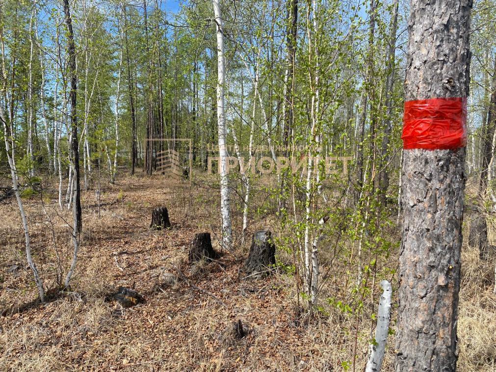 земля у Мегино-Кангаласский п Нижний Бестях Республика Саха Якутия фото 2