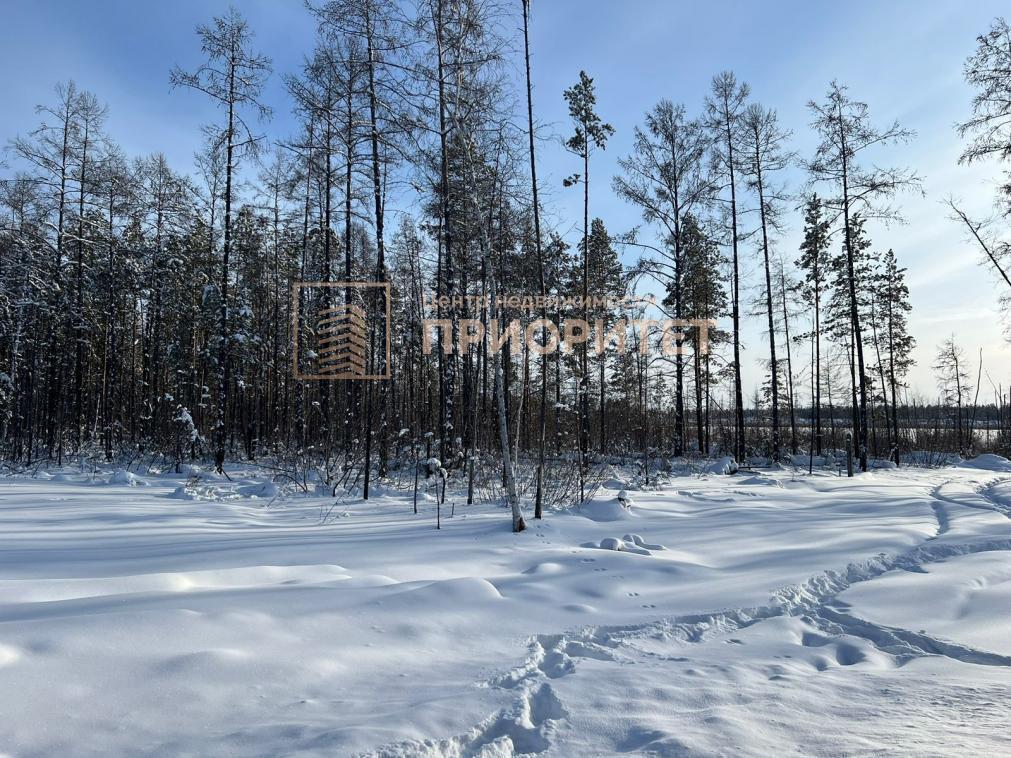 земля у Мегино-Кангаласский п Нижний Бестях Республика Саха Якутия фото 2