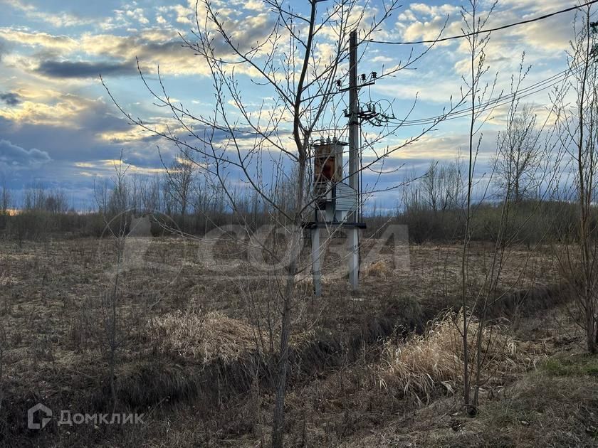 земля р-н Тюменский Каскаринское муниципальное образование фото 2