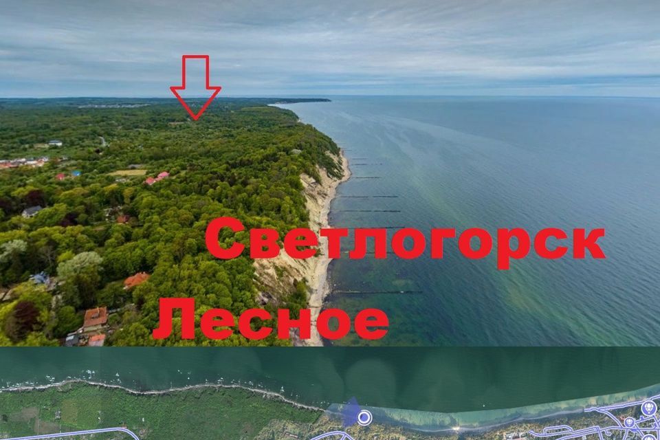 земля р-н Светлогорский посёлок Лесное фото 1