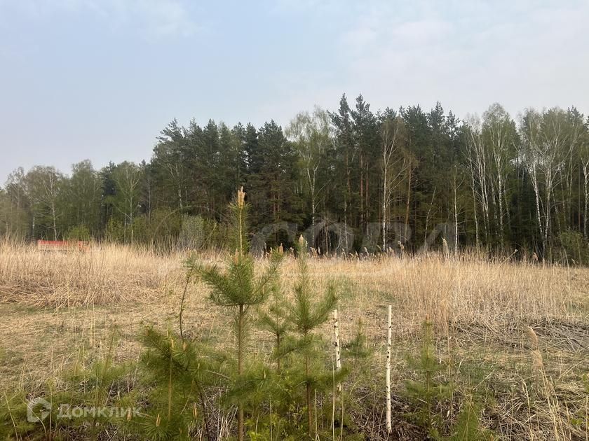 земля р-н Тюменский д Якуши пр-д Волейбольный фото 2