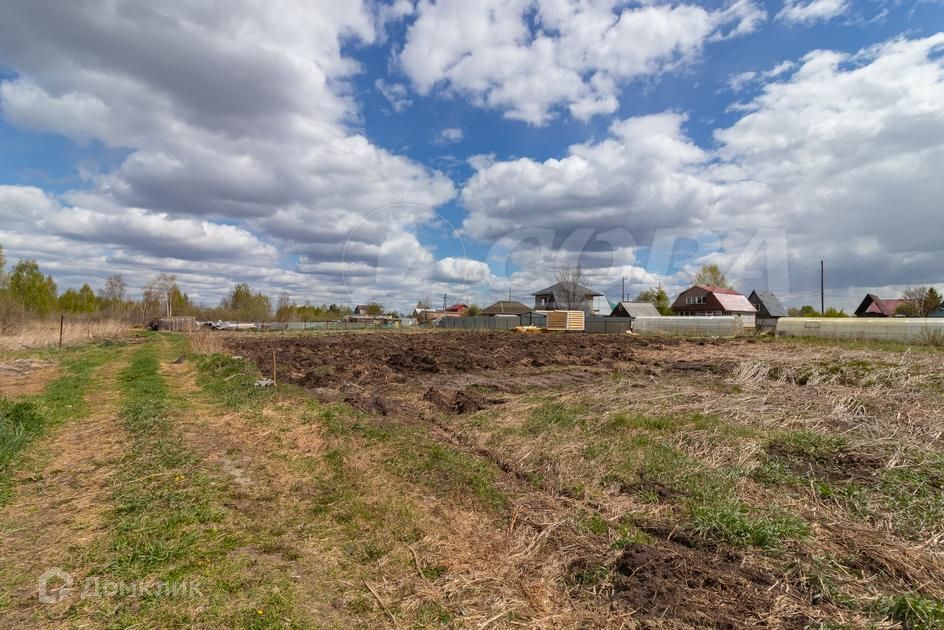 земля р-н Нижнетавдинский садоводческое товарищество У Сосны фото 4