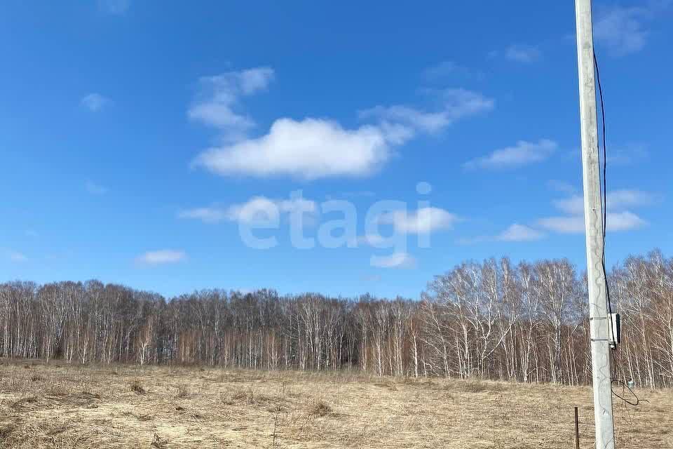 земля р-н Кемеровский посёлок Кузбасский фото 2