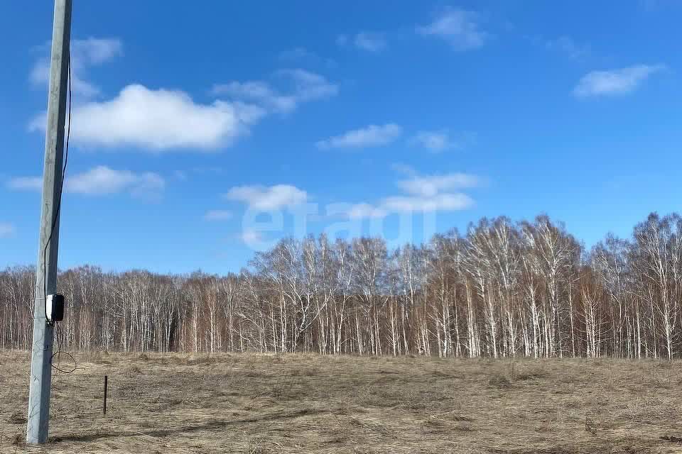 земля р-н Кемеровский посёлок Кузбасский фото 3