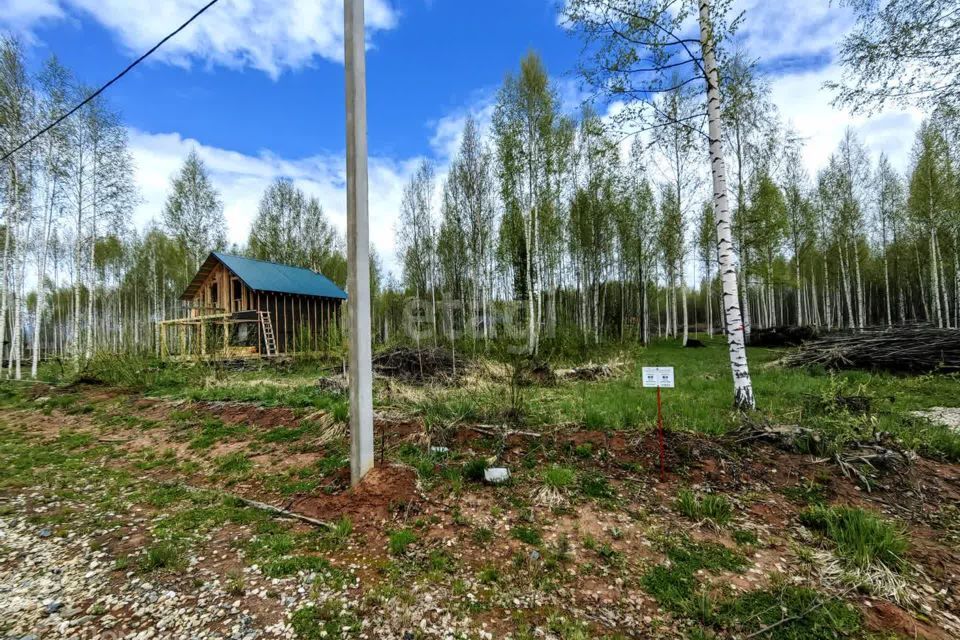 земля Добрянский городской округ, деревня Залесная фото 6